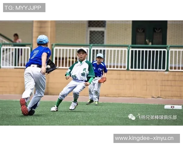 上海羽毛球队挑战赛特别报道：从艰辛到辉煌的奋斗历程与突破之路