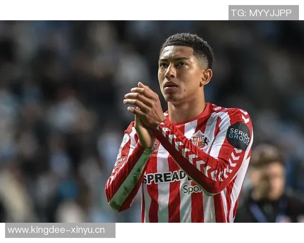 足球明星多什么来着揭秘他们背后的故事与成就 足球明星多什么来着揭秘他们背后的故事与成就