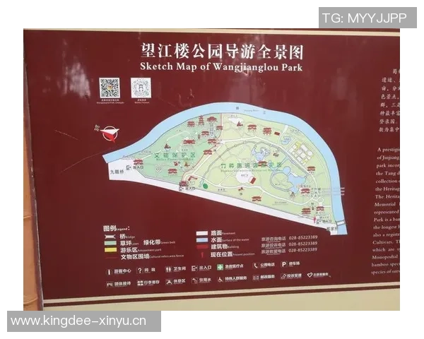 成都篮球队挑战赛战术分析与表现评估全景解读 成都篮球队挑战赛战术分析与表现评估全景解读