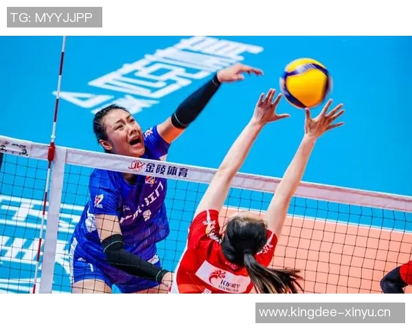 武汉排球队转型之路的真实记录与成长历程探讨