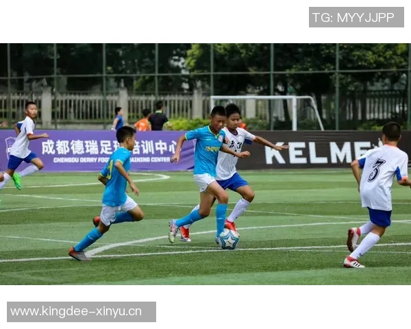 重庆足球队的奋斗历程与荣耀追寻：一段不屈不挠的足球纪实之旅