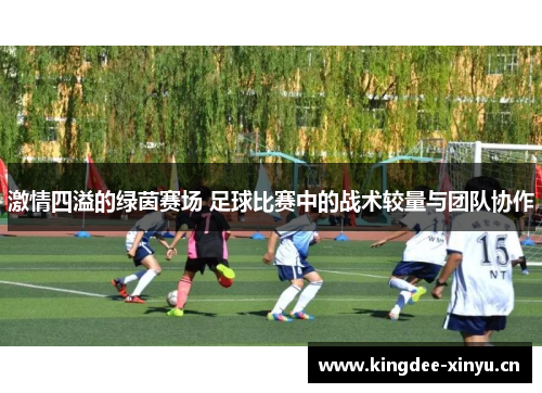 激情四溢的绿茵赛场 足球比赛中的战术较量与团队协作