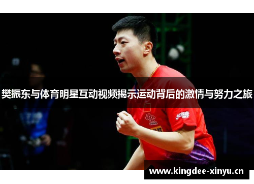 樊振东与体育明星互动视频揭示运动背后的激情与努力之旅